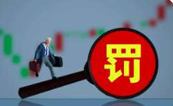 罰10萬元！企業(yè)無密閉措施和安裝凈化裝置超標(biāo)排放廢氣