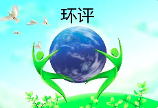 環(huán)境影響評價文件涉及弄虛作假等行為的，需要承擔(dān)哪些后果？